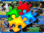 JIGSAW DELUXE