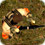 Action - Download Free Games