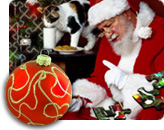 Xmas Puzzles - Fun Games