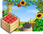 Sunshine Acres - Fun Games