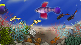Fish Tycoon - Genetics game