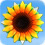 Sunshine Acres - Scarica nuovi giochi per PC gratis
