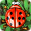 Beetle Bomp - Top Games