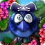 Bird Pirates - Free Games Puzzle