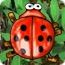 Beetle Bomp - Free Games Puzzle