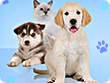 Wauies – The Pet Shop Game - 