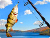 Addictive Angling - New Games