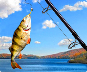 Addictive Angling - Download Free Games for PC