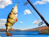 Addictive Angling -  Games Free Download
