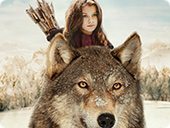 Stormfall - Adventure Games Free Download